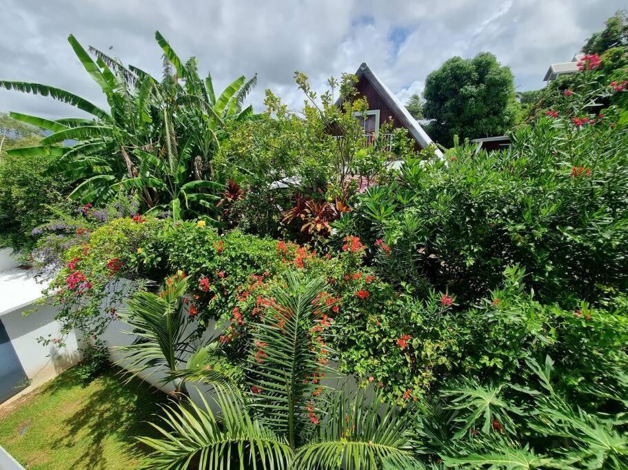 Villa Fleur De Coco - 8P. - Piscine Privee - Haut Standing Сен-Пиер Екстериор снимка