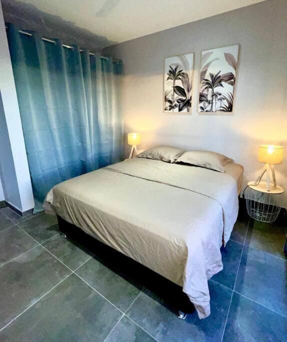 Villa Fleur De Coco - 8P. - Piscine Privee - Haut Standing Сен-Пиер Екстериор снимка